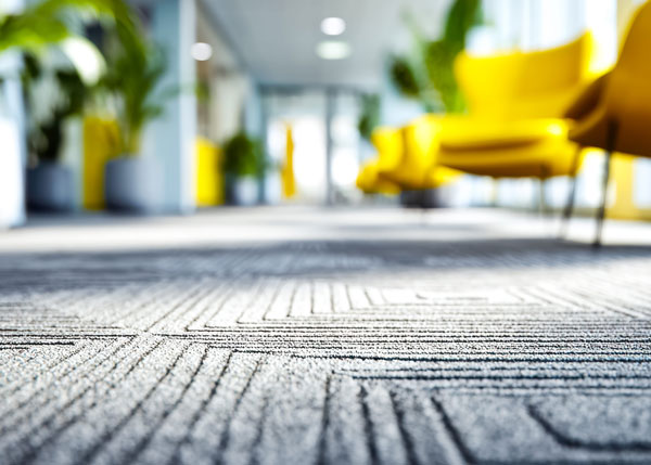 clean-blue-carpet close up clean blue carper in an office building.